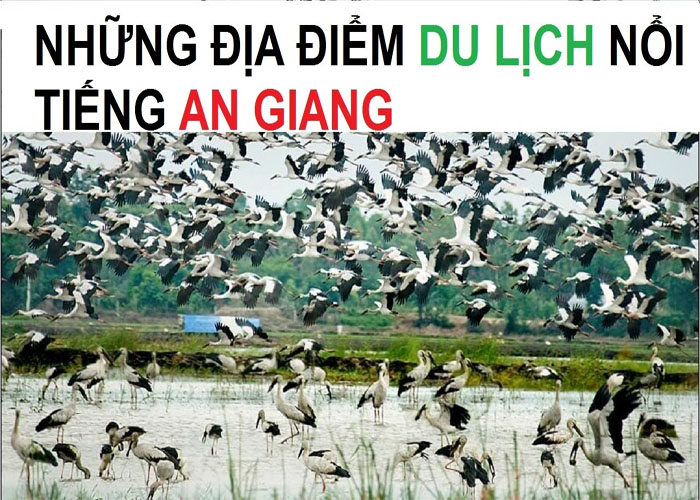 KHU VUC HỒ CHI MINH ĐI AN GIANG